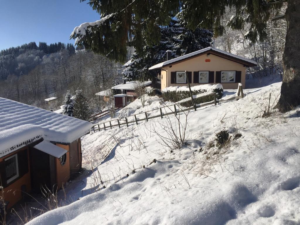 Schoene Aussicht Sankt Andreasberg Exterior foto