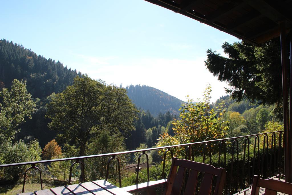 Schoene Aussicht Sankt Andreasberg Exterior foto