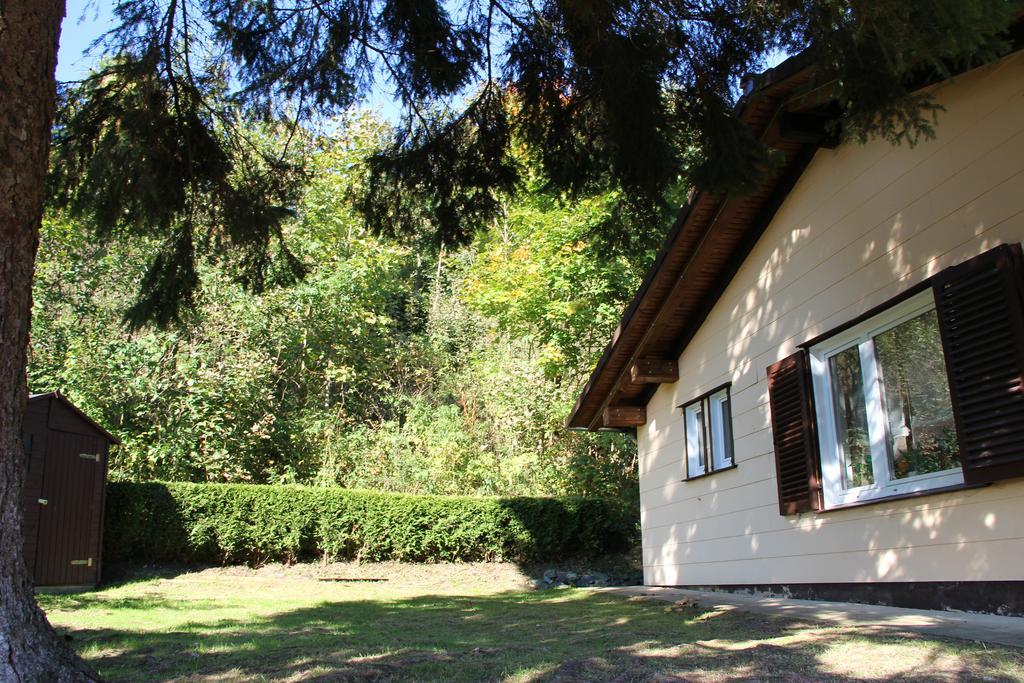 Schoene Aussicht Sankt Andreasberg Exterior foto