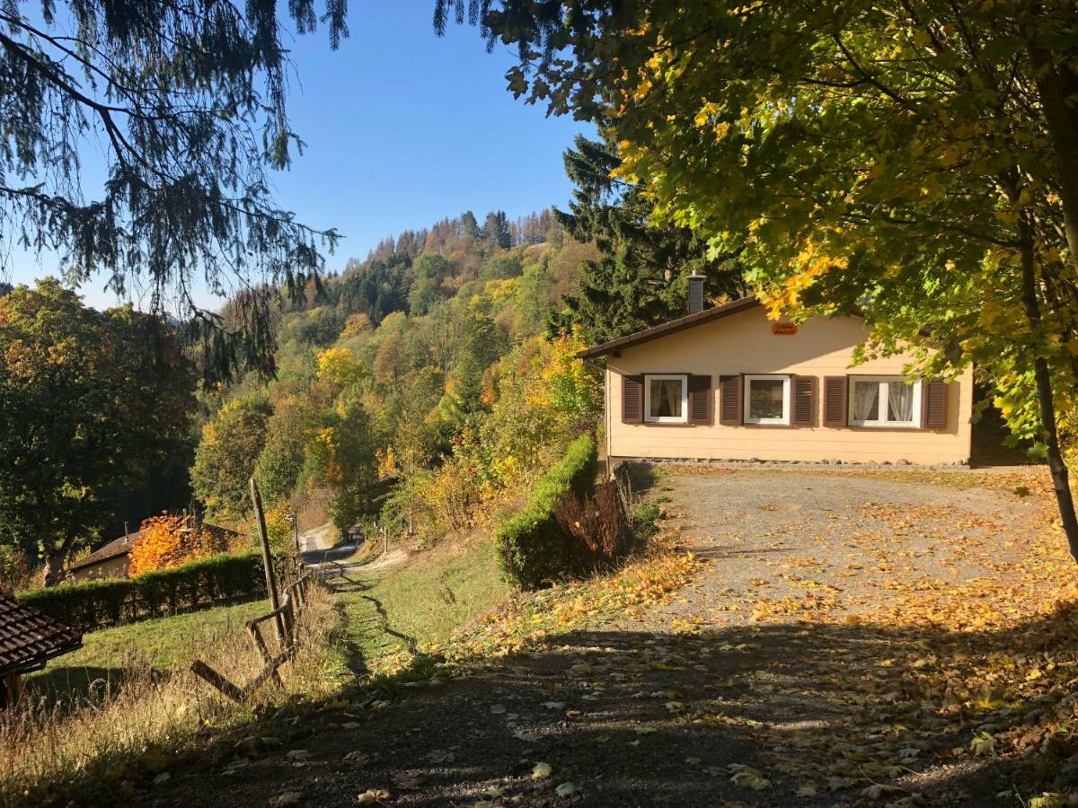 Schoene Aussicht Sankt Andreasberg Exterior foto